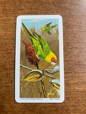 BROOKE BOND RED ROSE TEA CARDS - SERIES 13 - NORTH AMERICAN WILDLIFE IN DANGER