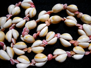 COWRIE & Pink Umboniums Button Shells Necklace Vintage 15" drop - Picture 1 of 4