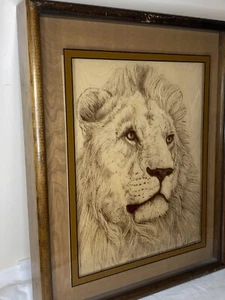 Vtg 21X17” Lucid Lines LIONS 1976 PHOTO ON GLASS WILDLIFE by DENNIS CURRY - Picture 1 of 13