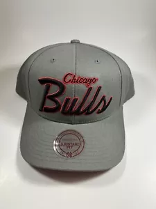 Chicago Bulls Mitchell & Ness Snapback Cap Hat - New Gray - Picture 1 of 5