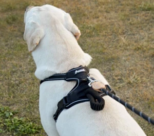 Dog Pet Harness Control Adjustable Vest with Handle M,L,XL - Picture 1 of 7