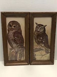 2 Vintage Rustic Owl Framed Art by Artist E. Rambow Prints Retro 60s 70s - Picture 1 of 12
