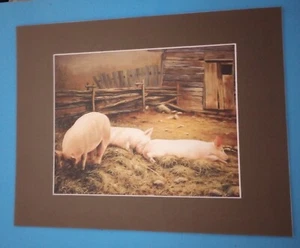 11" x 14" Matted 8" x 10" Print of Picture of Trio of Farm Pigs in Barnyard - Picture 1 of 3