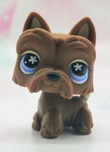Littlest Pet Shop authentisch # 789 braun creme Schwanz Scottie blaue Blumenaugen - Bild 1 von 4