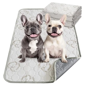 Cuscinetti Lavabili per Pipì per Cani, Cuscinetti per Cuccioli con Super Assorbente, Specificamente Des... - Foto 1 di 7