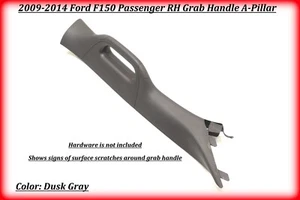 2009-2014 Ford F-150 A-Pillar Interior Trim Grab Handle Passenger RH Side Dusk - Picture 1 of 15