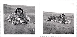 Grave Site Flowers for Mom 1952 Graveyard 2 Photographs - Picture 1 of 5