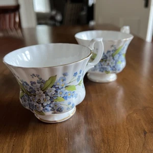 Two Royal Imperial English Bone China Teacups "Forget-Me-Nots" Flowers - Picture 1 of 16