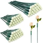 72 Pcs Floral Water Tubes Green Floral Tubes Plastic Flower Tubes for Fresh F...