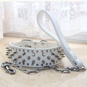 NEW Unisex Rivet Spiked Studded Collar Leather Large Dog Collar Chain Leash set