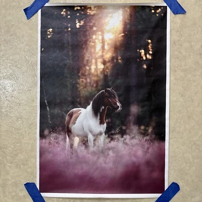 Wild Horse - Decor ✅ Animal Canvas Poster Print Wall Art ✅ 12x18 inch - Unframed - Image 1 of 4