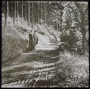 Linterna Mágica de Vidrio Diapositiva PAREJA EN FOREST LANE C1910 FOTO EDUARDIANA - Imagen 1 de 2