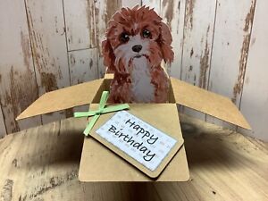 Cavapoo Dog Birthday card,  3D Pop Up  Box Card, Handmade