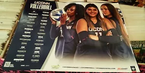 2024 UCONN DAMEN VOLLEYBALL POSTER & SPIELPLAN - Bild 1 von 1