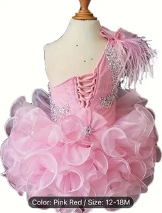 Infant Toddler Baby Newborn Little Girl'S Pageant Party Birthday Dress - Picture 1 of 4