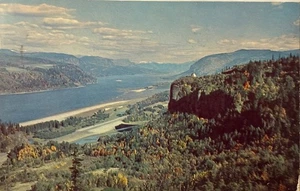 Columbia River trennt Oregon & Washington gebrauchte Postkarte Vintage 1954 verschickt - Bild 1 von 4