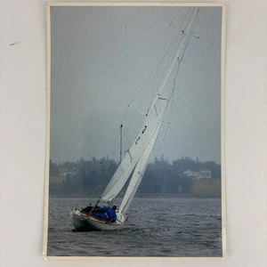 New England Maine Sailing Postcard International Race 4x6 Vintage Boat Maine - Picture 1 of 2