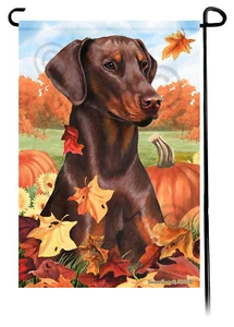Bandera de jardín Falling Leaves - Pinscher Doberman rojo sin recortar - Imagen 1 de 1