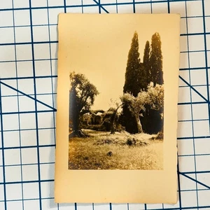 RPPC Vintage Tivoli Villa d'Este Italy Sepia Postcard by ENIT SFER 178 - Picture 1 of 3