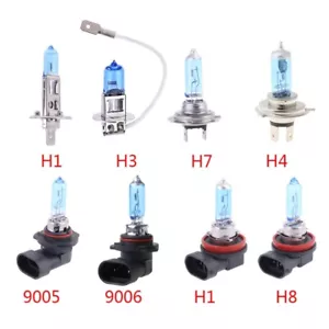 H1 H7 H8 H11 Fog Halogen Bulb High Power Car for Head Lamp - Picture 1 of 16