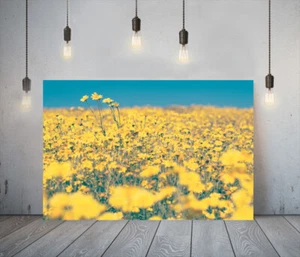 VIBRACIONES AMARILLAS 17- LIENZO ENMARCADO PROFUNDO ARTE DE PARED IMPRESIÓN DE PAPEL FOTOGRÁFICO - CAMPO DE FLORES - Imagen 1 de 17