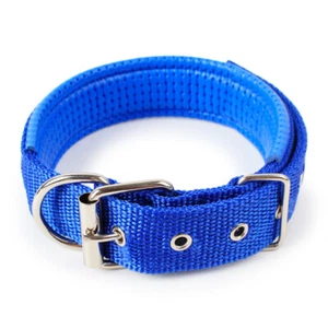 Dog Collar Padded Eyelet Nylon Metal Pet Puppy Cat Adjustable Collars Blue UK - Picture 1 of 5