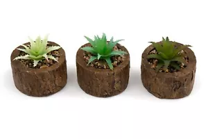 Set of Three Bark Effect Pot and Succulent Faux Plant in Rustic Cement Pots - Picture 1 of 4