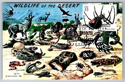 #3351a Insects & Spiders Black Widow FDC Maxi Card - Image 1 of 2