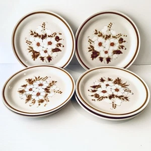 Mountain Wood Dried Flowers x6 Dinner Plates Vintage Stoneware Japan Retro VGC - Picture 1 of 9