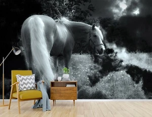 3D Night White Horse C25 Animal Wallpaper Mural Self-adhesive Removable Zoe - Picture 1 of 12