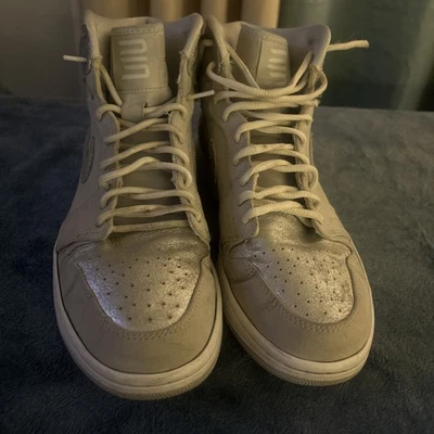 Jordan 1 Retro Hi Silver 25 Aniversario Gris Neutro y Plata agrietada Talla 10 Foto 1 de 4