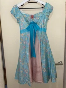 Secret Honey Enchanted Gisele Disney Floral Princess Gisele Hallowen Costume - Picture 1 of 12