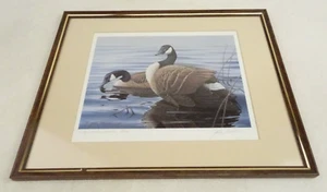 Canada Goose John Martens Signed Print Michigan Duck Stamp '88 14x11 Frame Glass - Picture 1 of 7