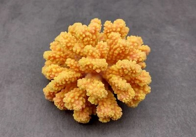 SEA SHELL EMPORIUM Yellow Faux Coral Cluster (1 FAKE Coral approx. 5Wx3Dx4T)