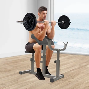 Adjustable Olympic Weight Bench Workout Bench with Preacher Curl Pad 661.39lbs - Picture 1 of 12