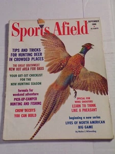 Sports Afield September 1966, Pheasant Hunting - 102523JENON3-1 - Imagen 1 de 2
