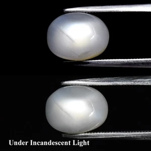 💎 3.92ct Oval Cabochon Natural White Cat's Eye Moonstone - Africa Gemstone - Foto 1 di 6