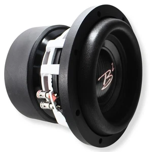 B2 Audio RAMPAGE Series 8" Dual 2-Ohm 2" Voice Coil 1000 Watt RMS Subwoofer - Picture 1 of 9