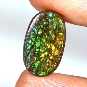 natural AMMOLITE cabochon loose gemstone 11.85 Cts. (11 x 18 x 3 mm) oval shape - Picture 1 of 7