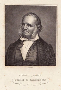 Brustportrait John James Audubon 1765-1851-StSt. nach Nordheim-200x142 mm - Bild 1 von 1
