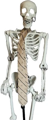 Rare Find! Necktie Made Expressly For PGA Men's Beige & Navy Golf Collectible - Imagem 1 de 4