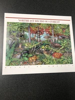 US FDC 3899 Northeast Deciduous Forest Souvenir Sheet First Day Of Issue 2005 - Image 1 of 4