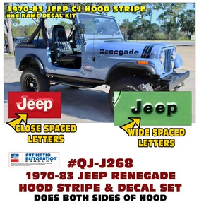 SP - J268 1976 1977 1978 1979 1980 - JEEP RENEGADE DECAL CJ STRIPE - LICENSED - Bild 1 von 1