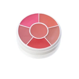 Ben Nye Creme Rouge Blush Wheel Medley CR-100 - Picture 1 of 5