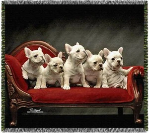 Frenchies - French Bulldog - Tom Weigand © - Pooch Power Tapestry Throw Blanket - Picture 1 of 1