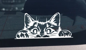 Peeking Cat Sticker Vinyl Decal Cars Laptop Window Mum Cat Mom Gift Love cats - Bild 1 von 11