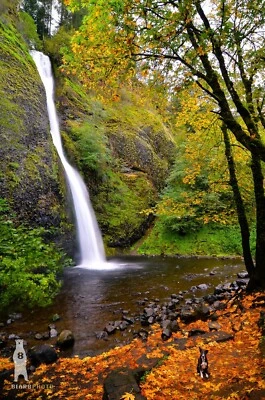 Водопад Хвощ - ущелье реки Колумбия, Орегон - фотографии водопадов - Изображение 1 из 4