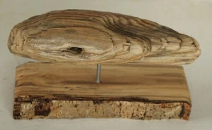 Art Wood Sculpture Found Driftwood Birch Base Ross Fine Art - Picture 1 of 1