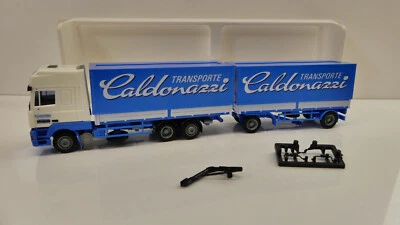 W6377 AWM 1:87 DAF Transporte Caldonazzi Italien Wechselkoffer-HZ ORK 70776 - Bild 1 von 4
