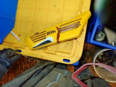 Yamaha DT 250 1978 cubierta/panel lateral derecho Foto 1 de 4